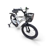 16" Boy Bicycle