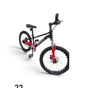 22" Bicycle